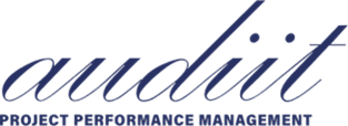 TimeControl Partner Audiit Logo